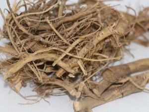 石家庄医药保健产业博览会