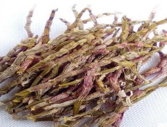 河南中医药大学举行孙思邈铜像捐赠落成揭幕仪式